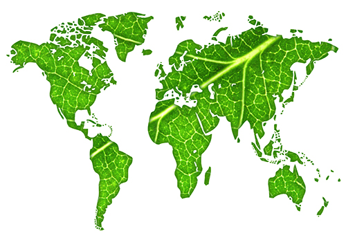 Matthews Global Presence